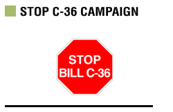 C36 ACCOUNTABILITY