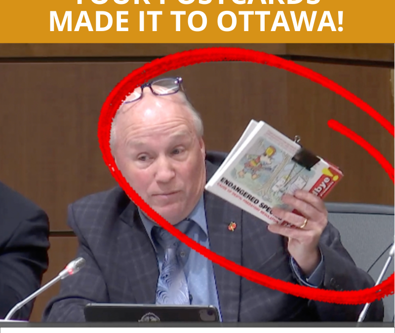 We Made It To The Standing Committee On Health!